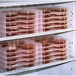 Scienceware Petri Dish Incubation Tray (Baki Susun)