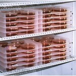 Scienceware Petri Dish Incubation Tray