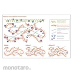 Sigma-Aldrich HyStem-HP Cell Culture Scaffold Kit