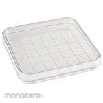 Simport Square Petri Dish 100x15mm D210-16 Series