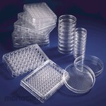 Thermo Fisher Scientific Nunc Upcell Surface Cell Culture Dish