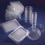 Thermo Scientific Multi Dish