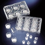 Thermo Scientific Multi Dish