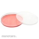 Thermo Scientific Petri Dish
