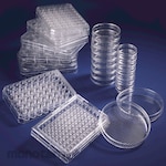 Thermo Scientific Petri Dish