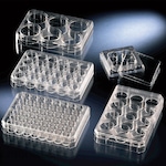 Thermo Scientific Well Multi Dish