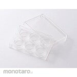 Tokyo Glass Kikai (TGK) 50 Multi-Dish Flat Bottom Plates