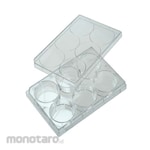 Cole Parmer Cell Culture Plate With Lid