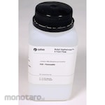 Cytiva Butyl Sepharose Fast Flow