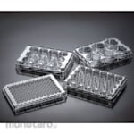 Guangzhou JET Bio-Filtration Tissue Culture Plates
