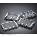 Guangzhou JET Bio-Filtration Tissue Culture Plates