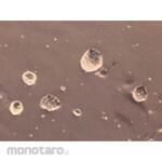 Merck Millipore ESGRO Complete Plus Medium