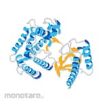 Merck Millipore Human Epidermal Growth Factor