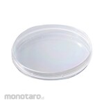 NUNC Cell Culture Petri Dish