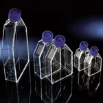 Thermo Scientific Cell Culture Flasks