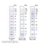 Thistle Scientific Blue Wide Range Protein Ladder