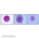 Merck Millipore Alkaline Phosphatase Detection Kit