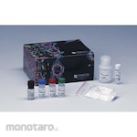 Merck Millipore Apoptag Red Detection Kit