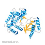Merck Millipore Streptavidin HRP Conjugate