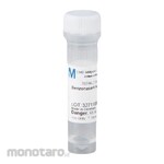 NVG Benzonase Nuclease