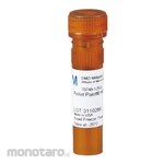 NVG Pellet Paint NF Co-Precipitant