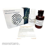 BioHelix HRP Detection Reagent