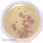 Shimadzu Diagnostics Clean Stamp 25 "Nissui" CP Saburo Agar for Fungal Infections