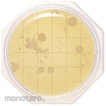 Shimadzu Diagnostics Clean Stamp 25 "Nissui" SCD Agar for General Viable Bacteria Count Measurement