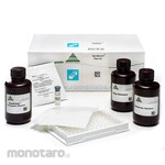 ROMER AgraQuant Cry1F Plate Kit - SeedChek