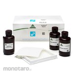 ROMER AgraQuant ECry3.1Ab Plate Kit - SeedChek