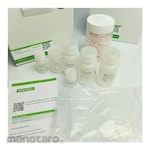 JENA BIOSCIENCE Total RNA Purification Kit