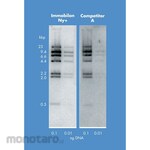 Merck Millipore Immobilon-Ny+ Membrane Charged Nylon 0.45µm