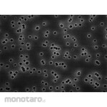 Merck Millipore Isopore Polycarb 1.2µm Wh Pl