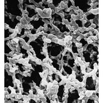 Merck Millipore Membrane Filter 0.65µm Pore Size Wh Pl
