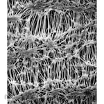 Merck Millipore Membrane Filter Fluoropore PTFE 0.45µm (Membran Saring)