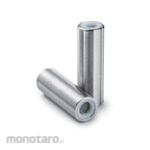 MERCK LiChroCART 25-4 LiChrospher 100 RP-18 Endcapped