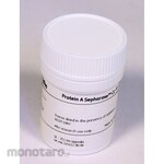 Cytiva Protein A-Sepharose CL-4B