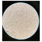 AS ONE Spherical Biocarrier 25g