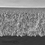 MERCK Millipore Ultrafiltration Discs 3kDa NMW