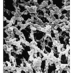 Merck Millipore Membrane Filter 0.45µm Pore Size