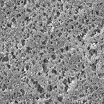 Merck Millipore Nylon Net Filter 0.45µm Wh Pl