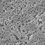 Merck Millipore Nylon Net Filter 0.8µm Wh Pl