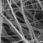 Merck Millipore Polypropylene Prefilter HydrophobicWh Pl 47mm