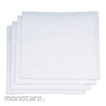 Aion Clean Wiper