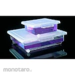NALGENE Staining Box