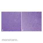 Sigma-Aldrich MaxGel ECM (Human Basement Membrane Extract (BME))
