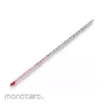 Non Brand Thermometer Mercury