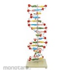 PUDAK SCIENTIFIC Model Pembelajaran 3D