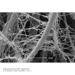 Whatman FTA Card Technology