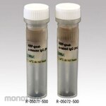 AS ONE secondary antibody